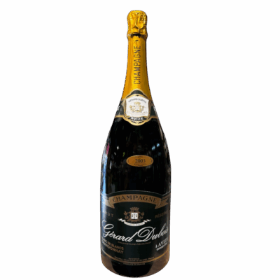 Gérard Dubois Champagne blanc de blanc 2004 Brut Champagne MAGNUM