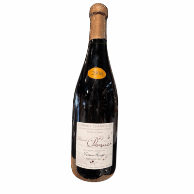 Pascal Doquet Coteaux Champenois Rouge